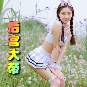后宫大帝